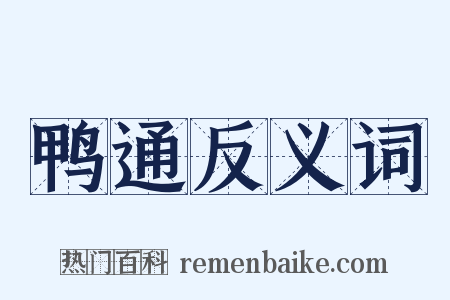 鸭通反义词是什么意思的图片